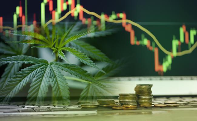 Medical Cannabis Market