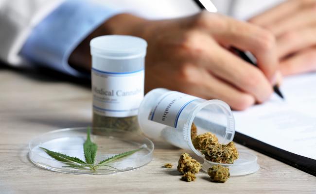 Florida Medical Marijuana Bogged Down
