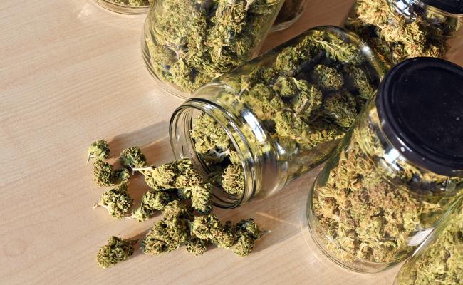 Getting Medical Marijuana Flower Legally in Florida