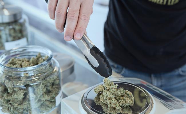Florida Medical Marijuana Dispensary Guide 
