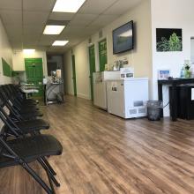 Marijuana Doctor Clearwater-Palm Harbor medical cannabis clinic Marijuana Doctor Clearwater-Palm Harbor medical cannabis clinic