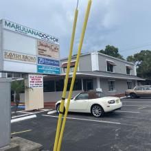 Marijuana Doctor South Tampa Florida Marijuana Doctor South Tampa Florida