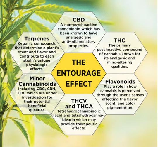 Chart illustrating the Entourage Effect Factors
