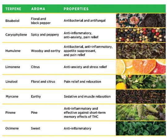 Table showing Terpene and Aroma properties of various products.