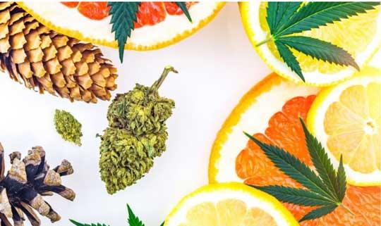 Image showing different 'floavors" in cannabis products