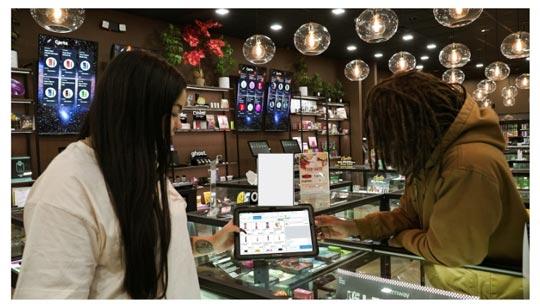 Shopping in a medicinal cannabis dispensary