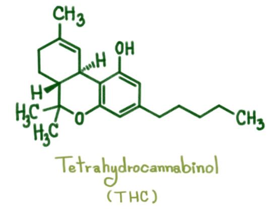 Chemical diagrm of Tetrahydrocannbinol (THC)