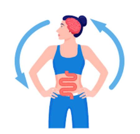 A diagram of a human showing interaction between the gut and the brain.