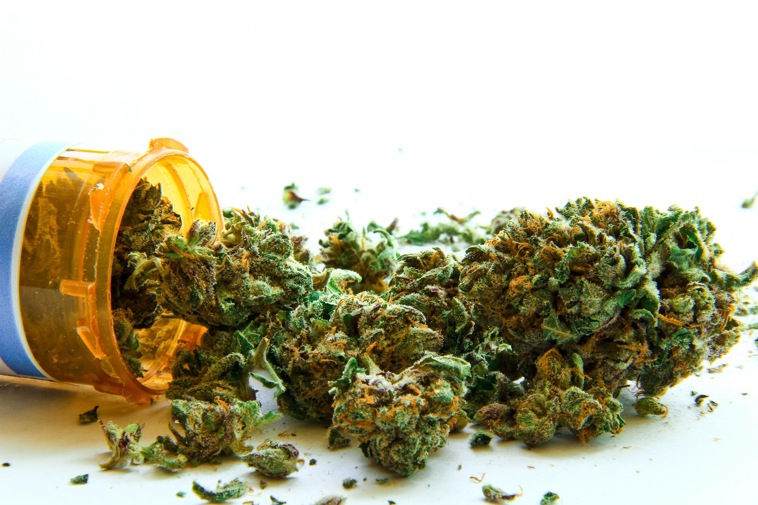 What Sets Medical and Recreational Marijuana Apart?