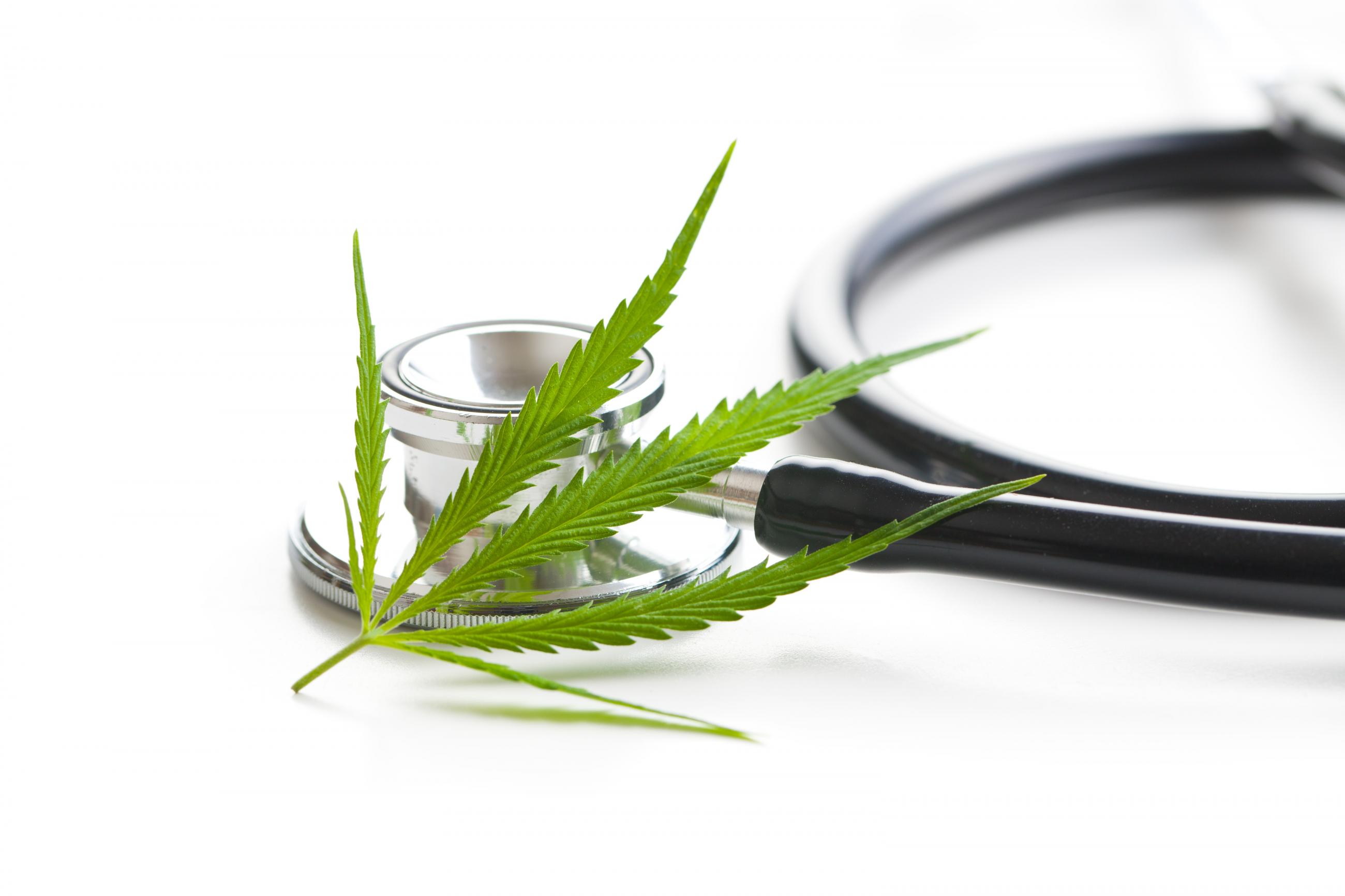 Three new locations in which to obtain your medical marijuana license