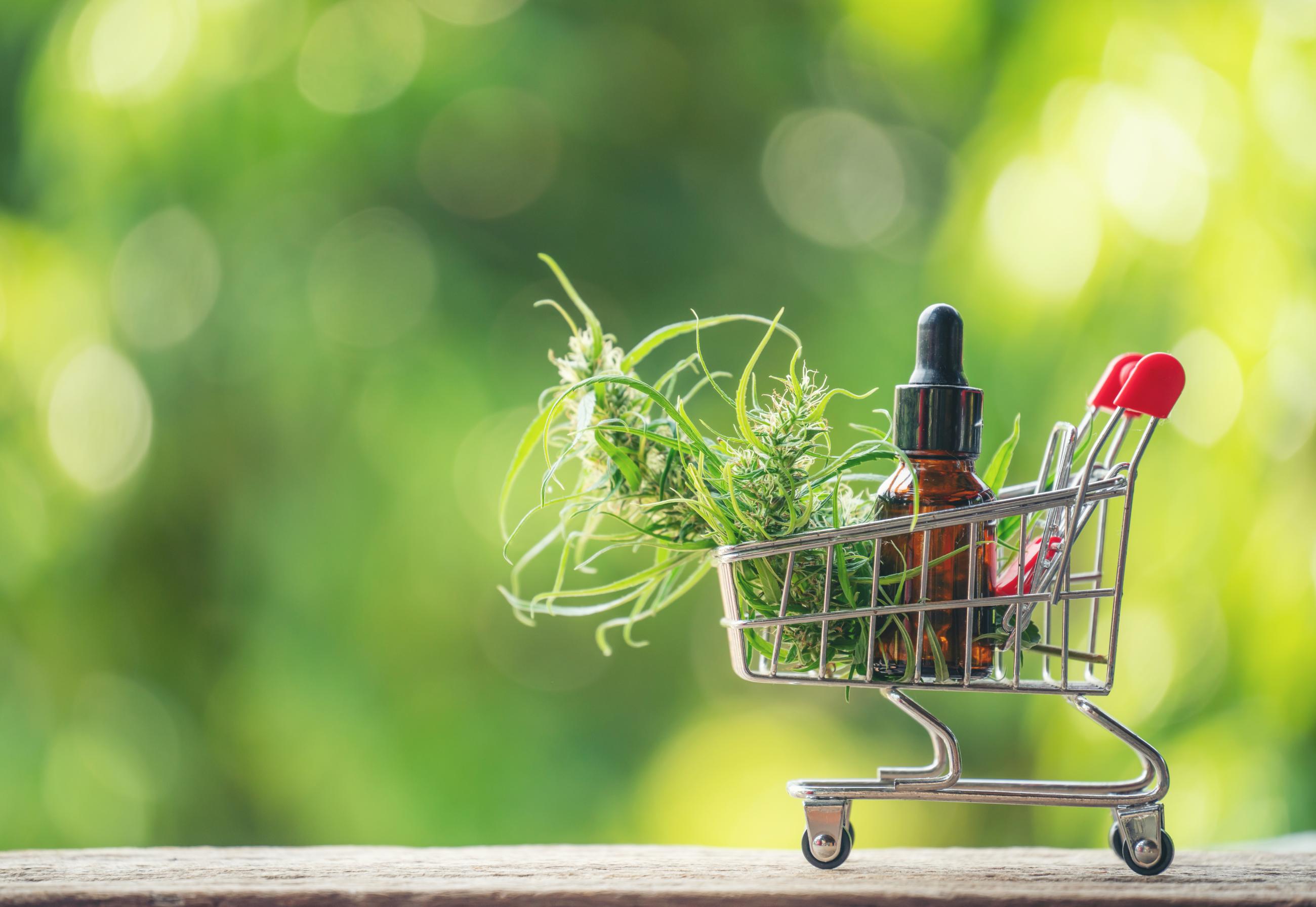 7 Really Good Reasons to Buy Marijuana at a Dispensary Rather than a Dealer