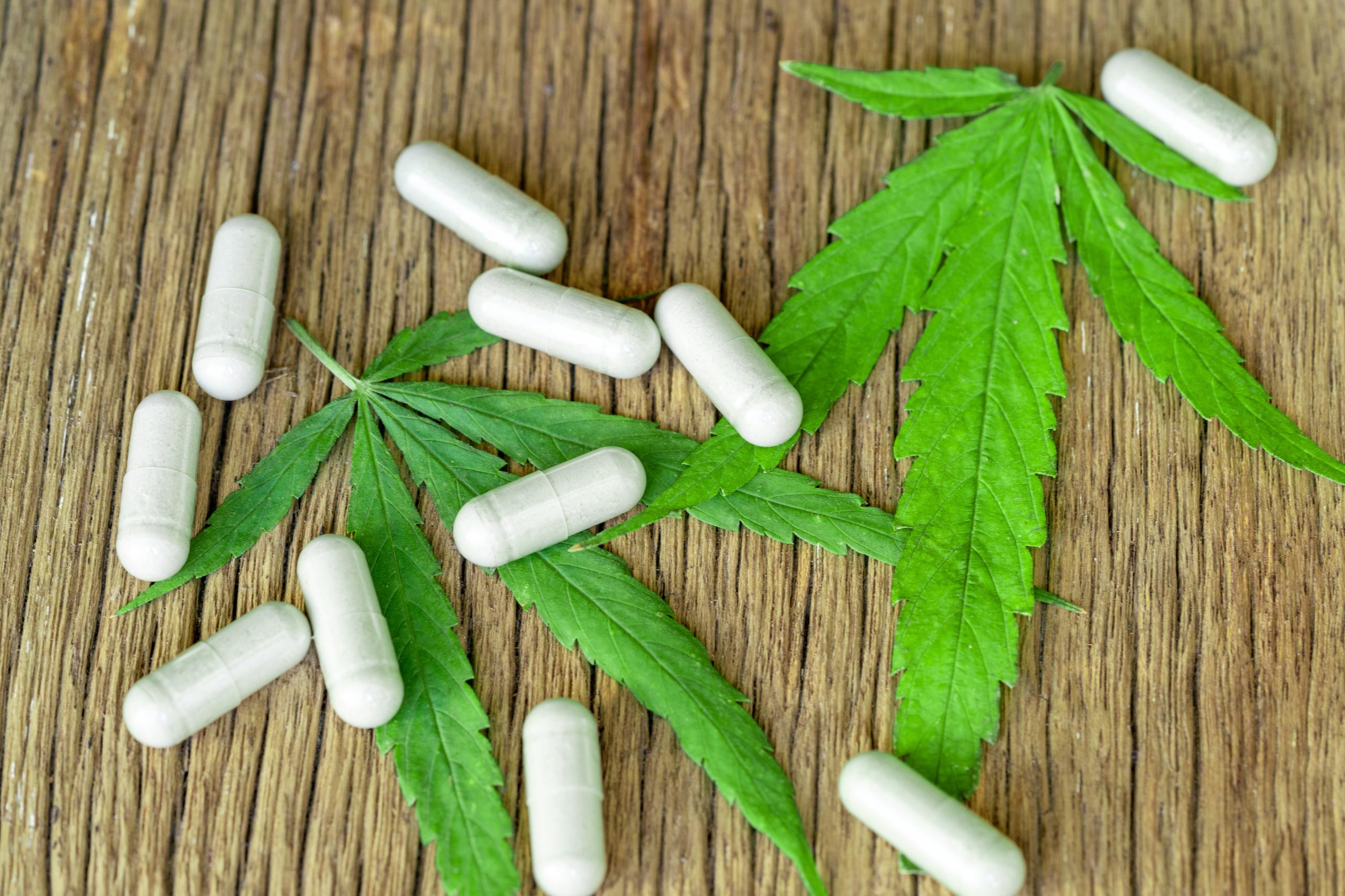 Marijuana and antibiotics