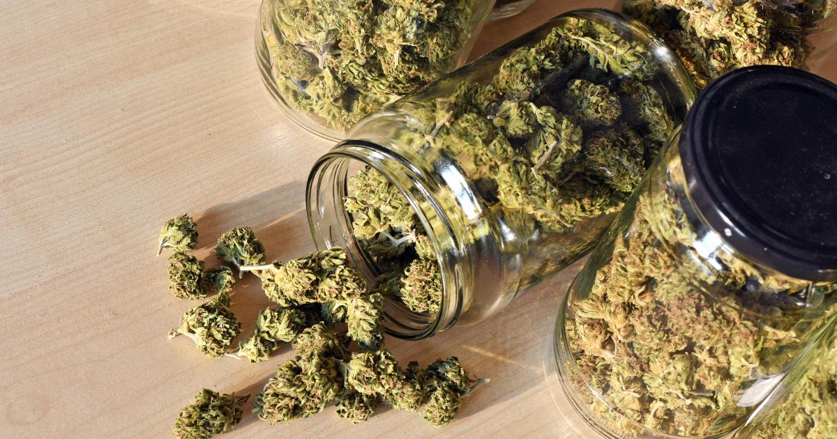 Getting Medical Marijuana Flower Legally in Florida | Marijuana Doctor